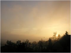 Wetterbericht 30.11.04 um 8.30 Uhr in Himmighofen