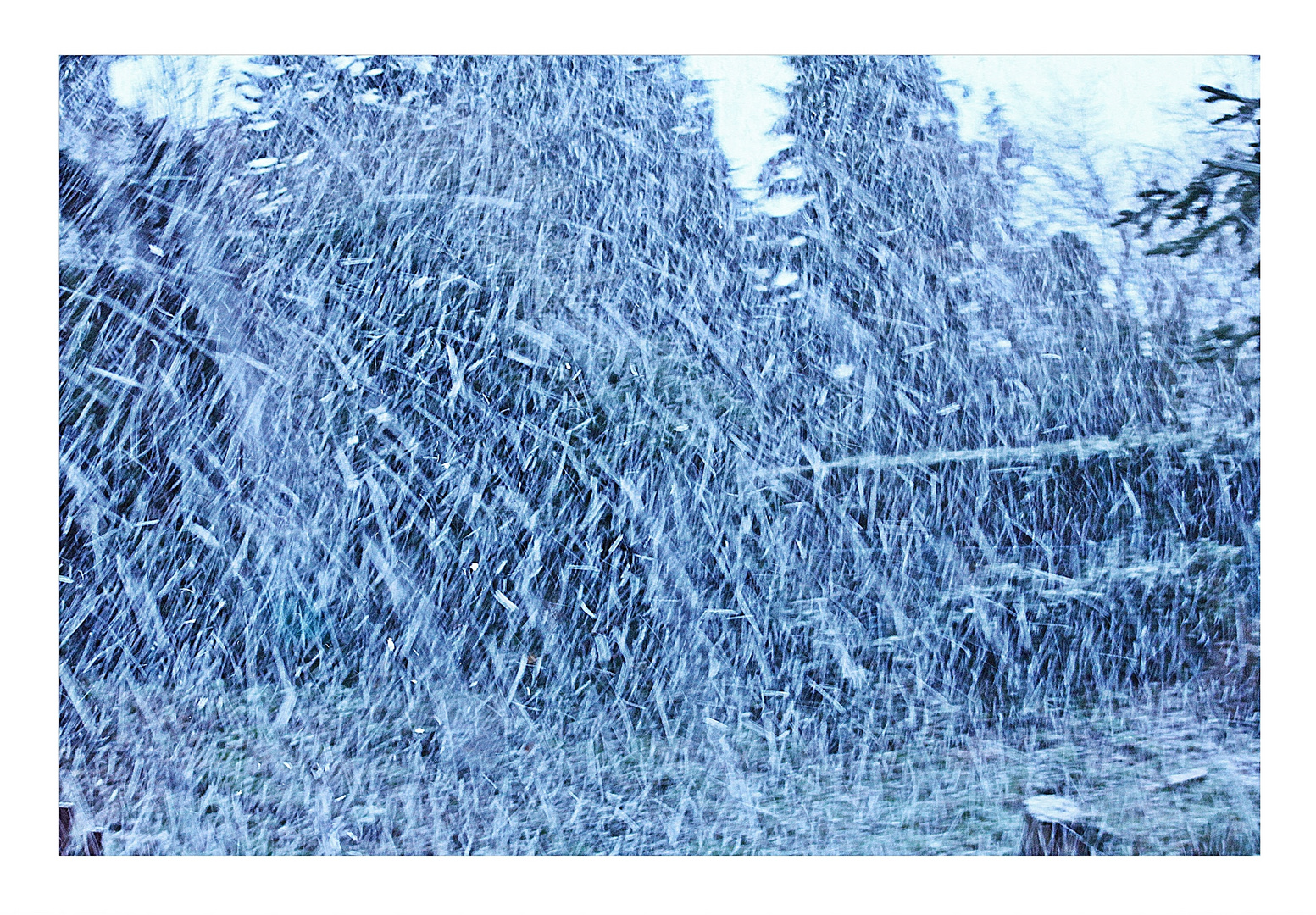 Wetterbericht