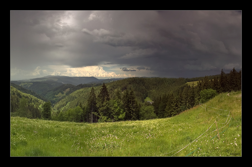 Wetterbericht aus dem Schwarzwald