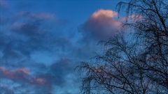 Wetterbericht  Büchenbach, 14.01.2019, 16:40 Uhr