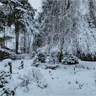 Wetterbericht - Büchenbach - 20.01.2018 - 08:20 Uhr