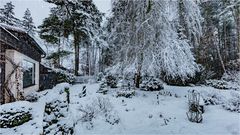 Wetterbericht - Büchenbach - 20.01.2018 - 08:20 Uhr