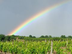 Wetterbericht...