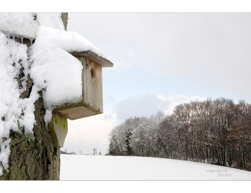 Wetterbericht