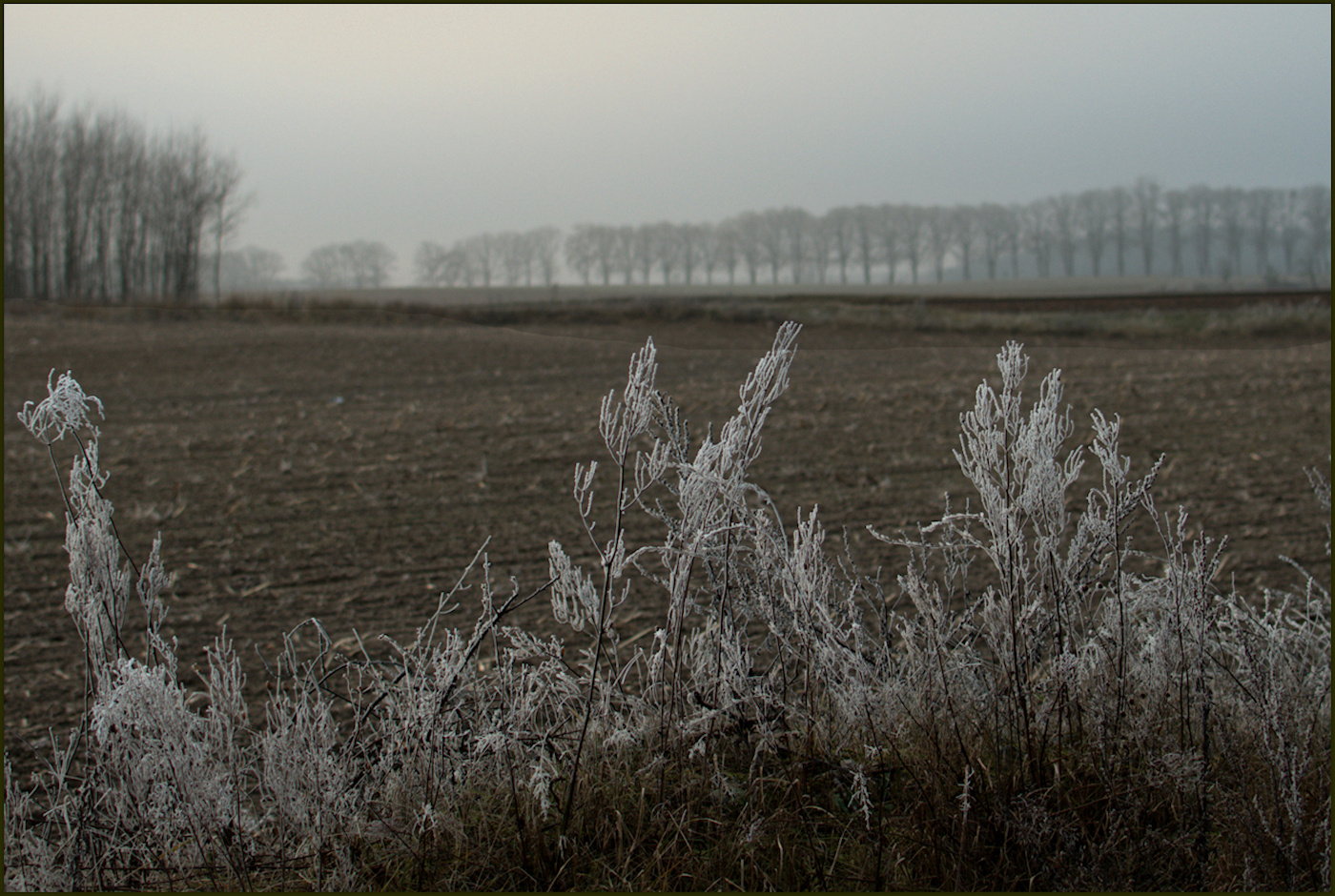 Wetterbericht