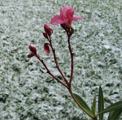 Wetterbericht