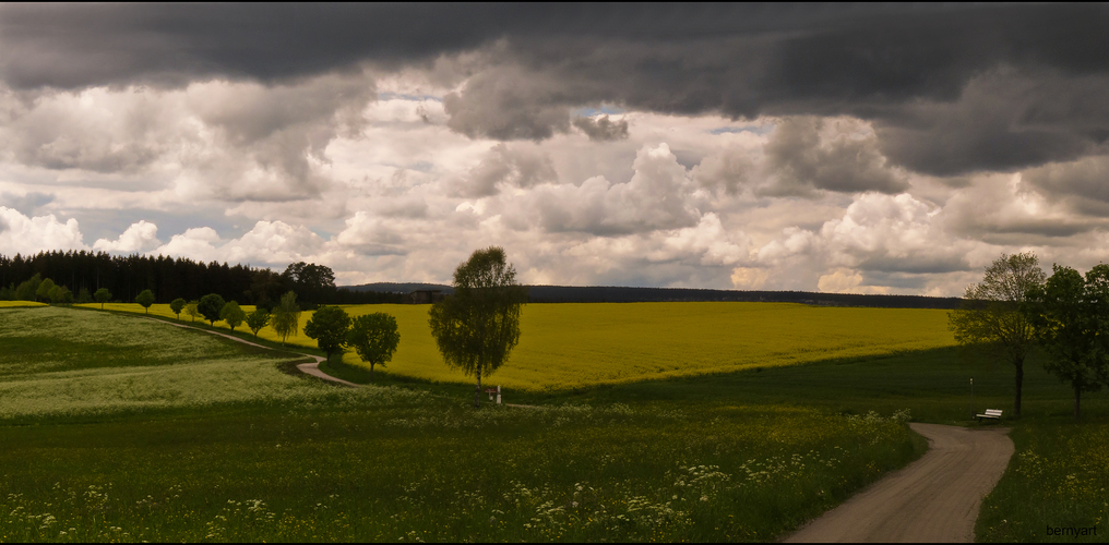 Wetterbericht...