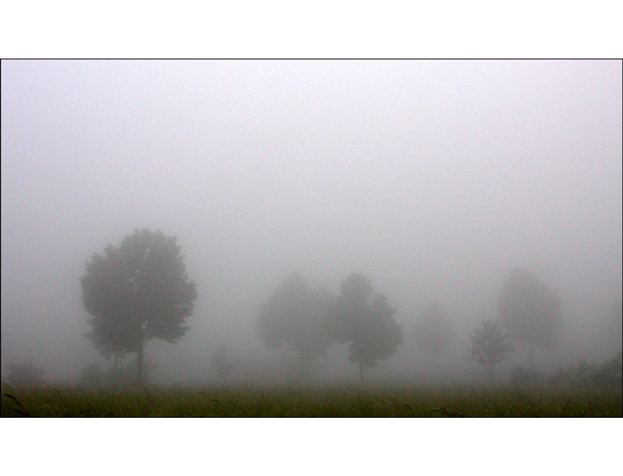 Wetterbericht: Frühnebel