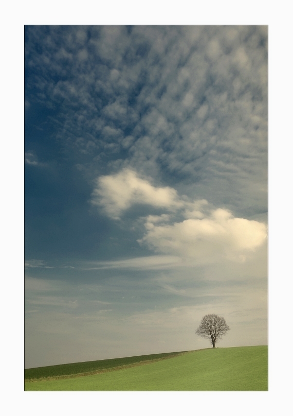 Wetterbericht für Hochkantallergiker III