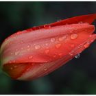 Wetterbericht für morgen