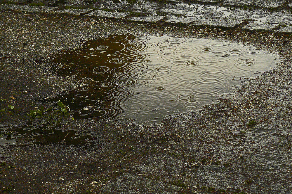 Wetterbericht für Q+F