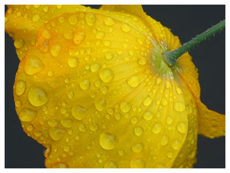 Wetterbericht heute