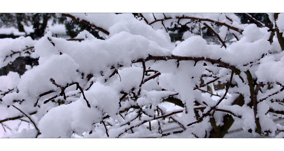 Wetterbericht - Himmighofen - 04.03.08 10.00Uhr März-Überraschung