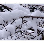 Wetterbericht - Himmighofen - 04.03.08 10.00Uhr März-Überraschung