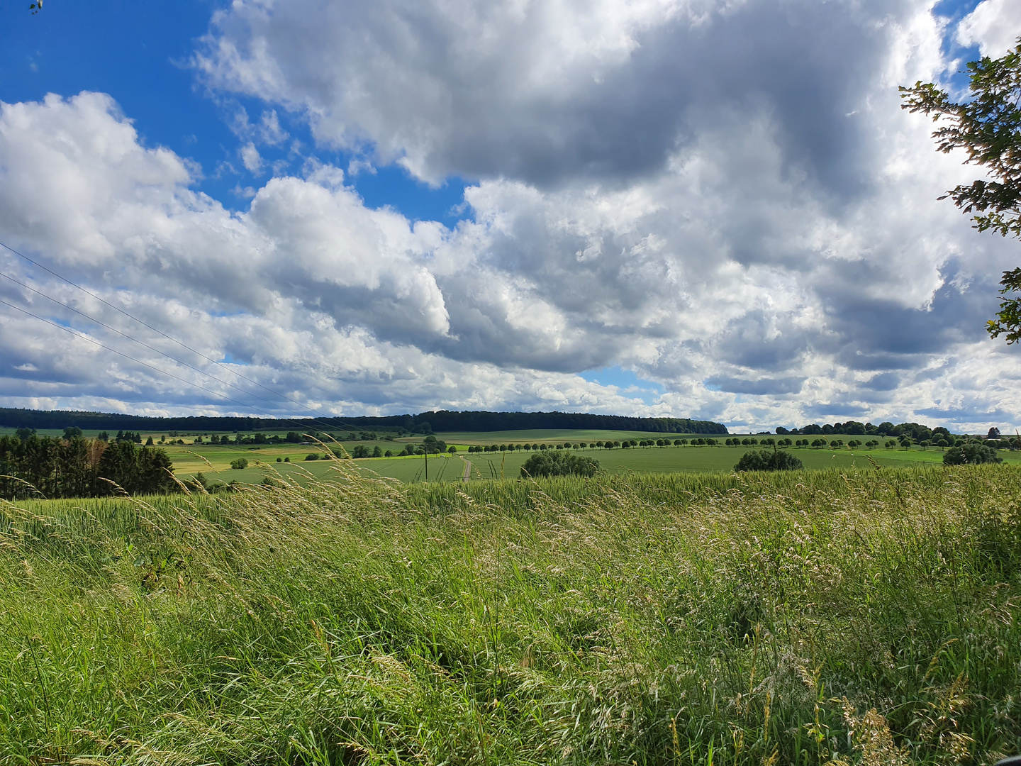 Wetterbericht Himmighofen