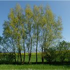 Wetterbericht - Himmighofen - Nastätten 23.04.09 20°