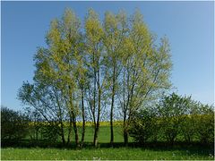 Wetterbericht - Himmighofen - Nastätten 23.04.09 20°