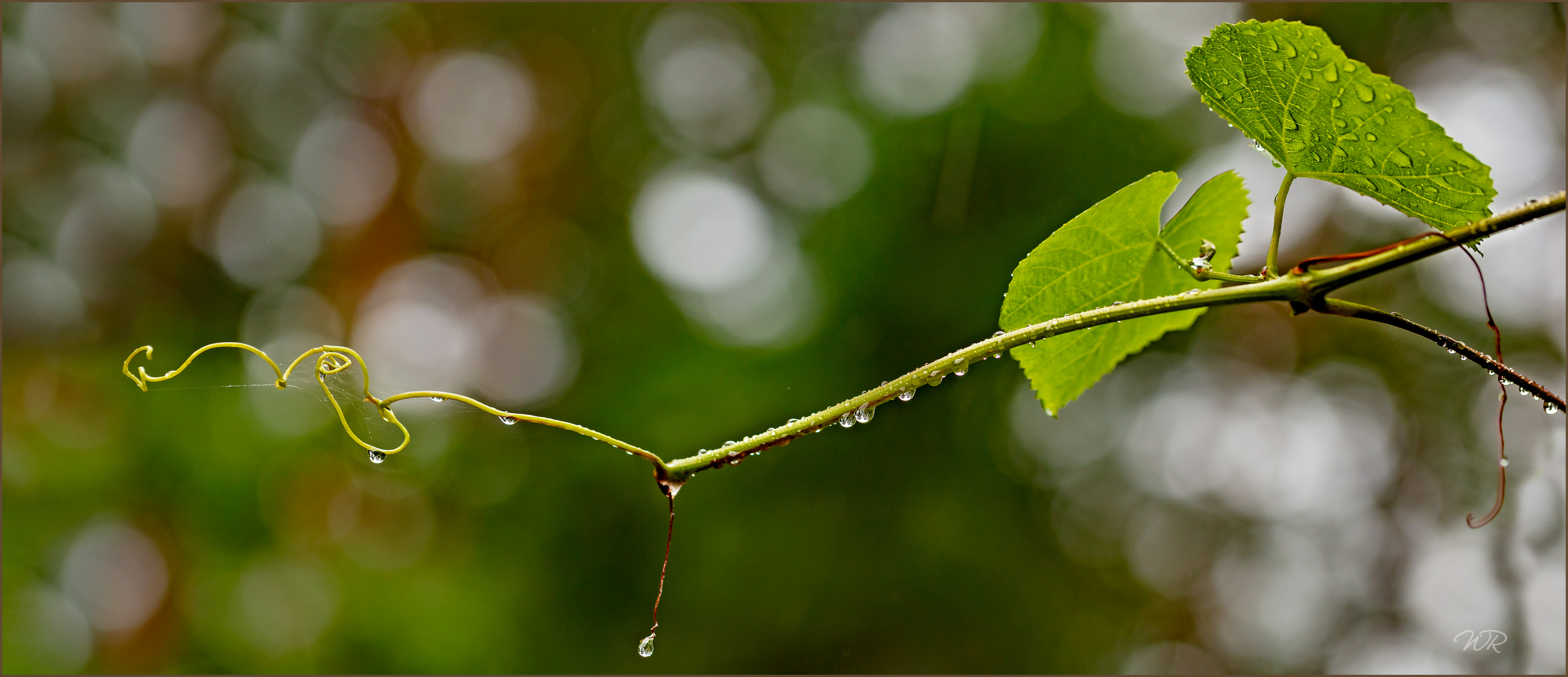 Wetterbericht, Samstag, 21.07.2018