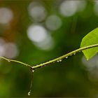 Wetterbericht, Samstag, 21.07.2018