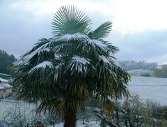 Wetterbericht Südfrankreich