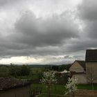 Wetterbericht vom 24.4.19 /19.31 Uhr  8° 