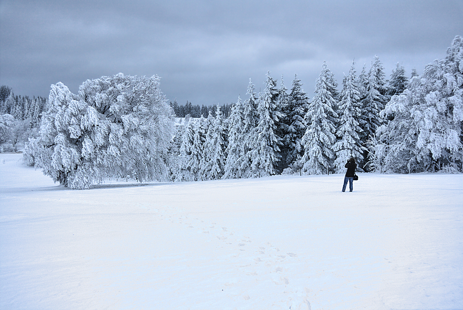 Wetterbuchen - Shooting