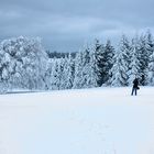 Wetterbuchen - Shooting