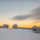 Wetterbuchen Sunset