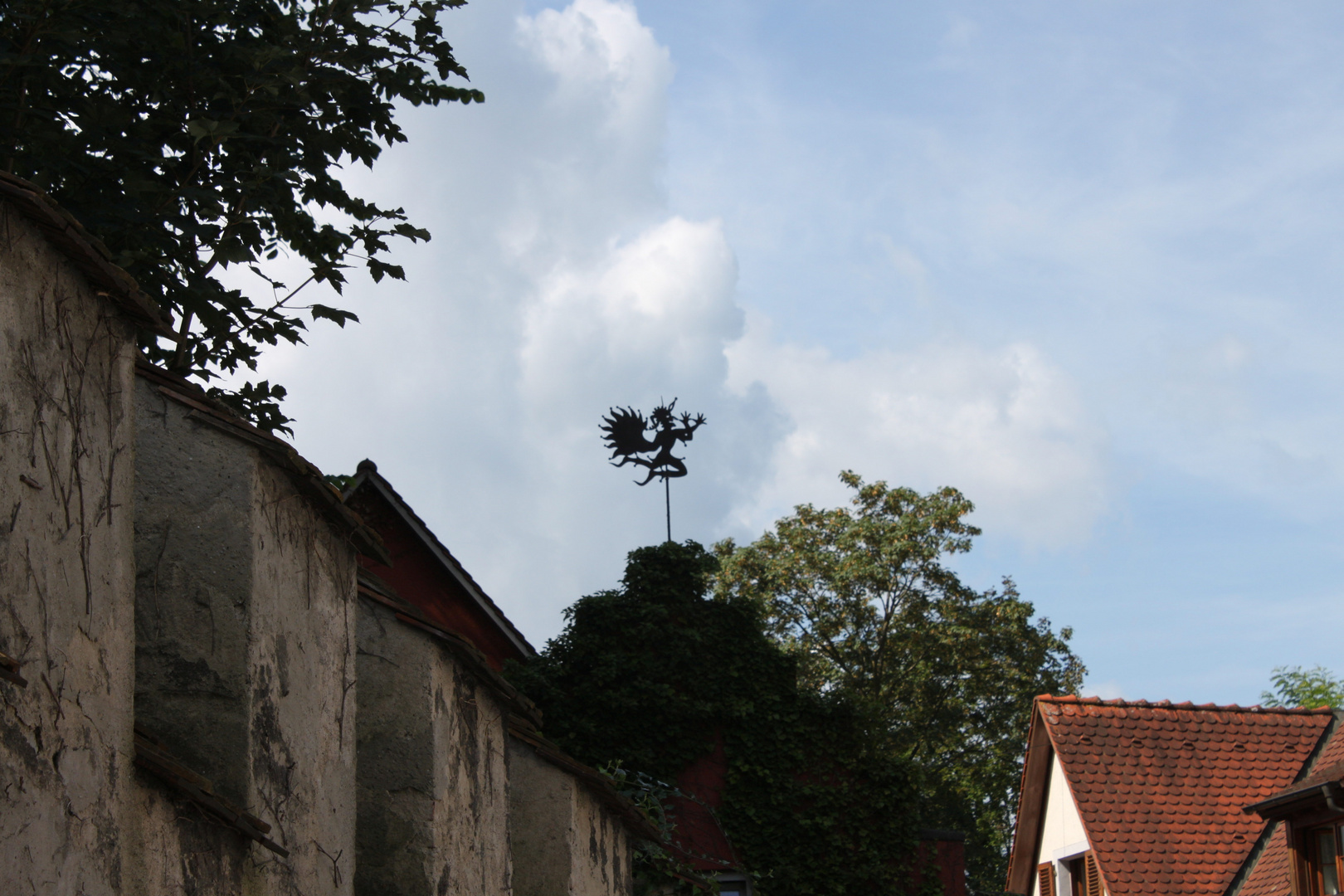 Wetterfahne in Meersburg