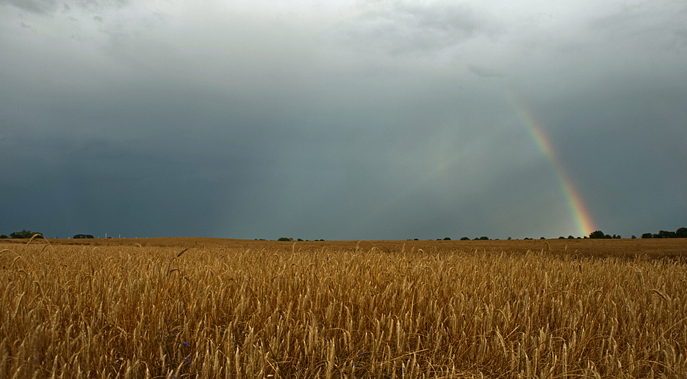 Wetterfront