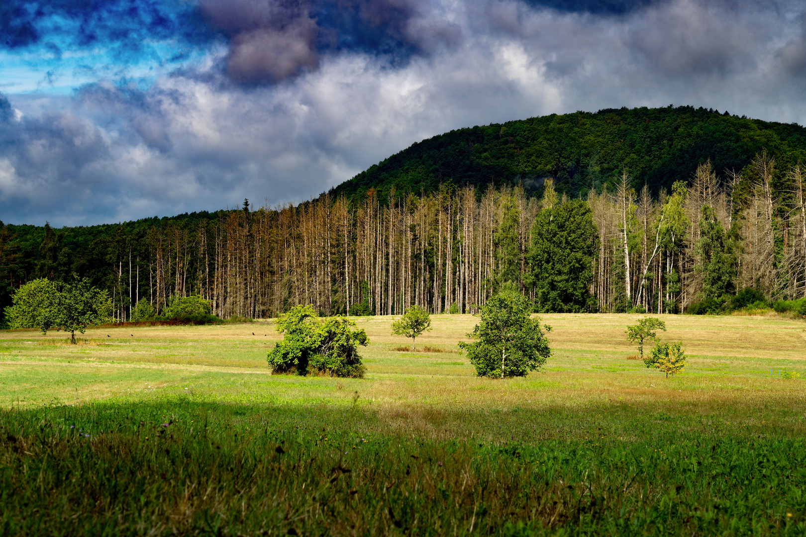 Wetterfront