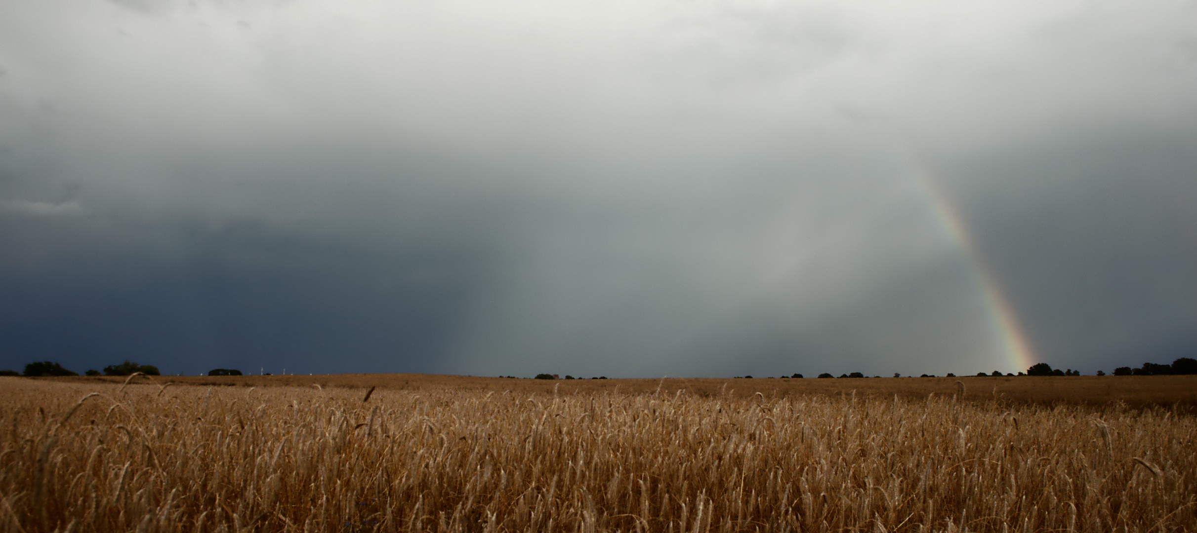 Wetterfront