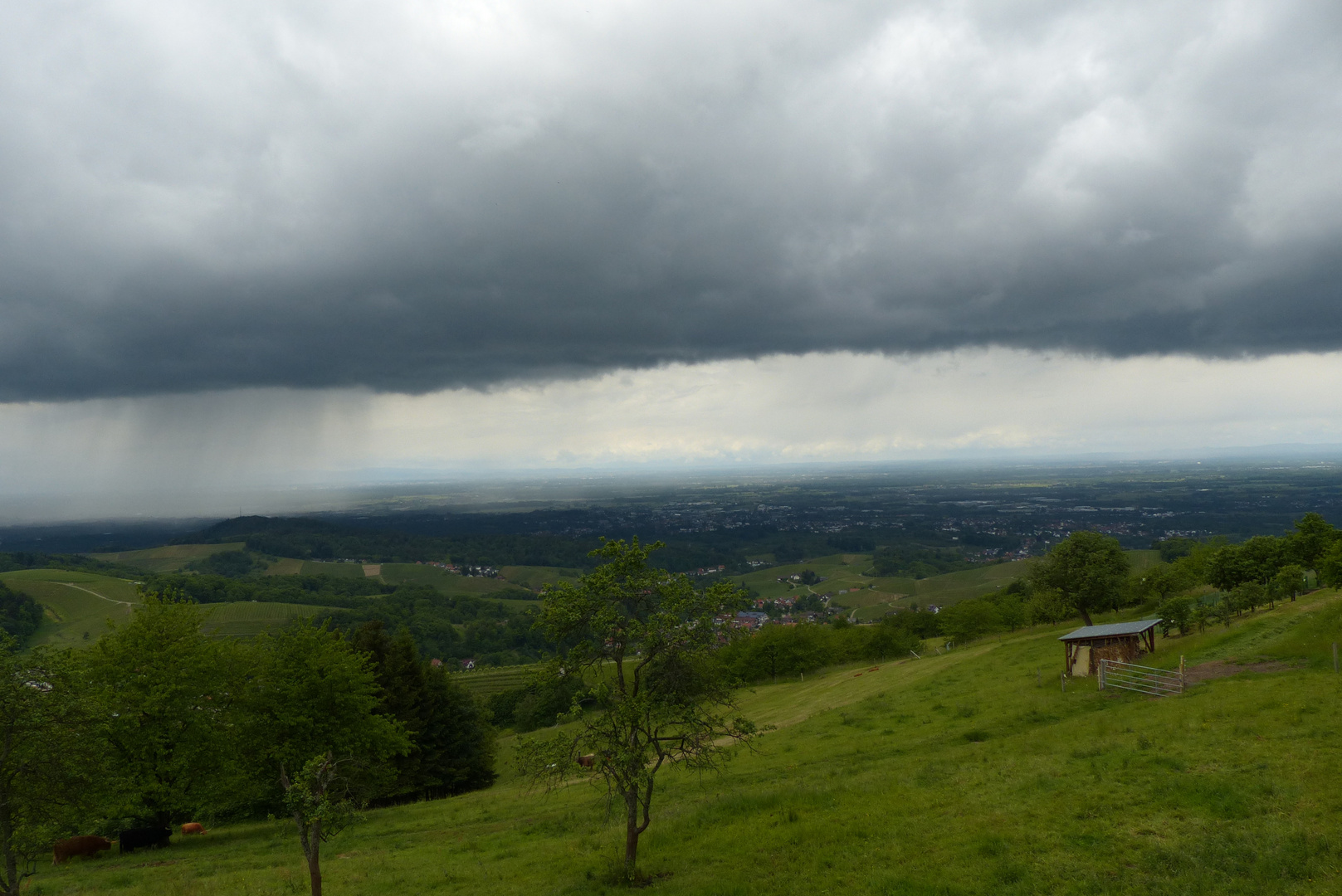 "Wetterfronten"