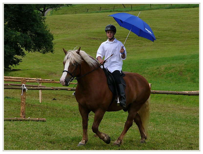 Wettergemäßes Reiten