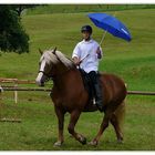 Wettergemäßes Reiten