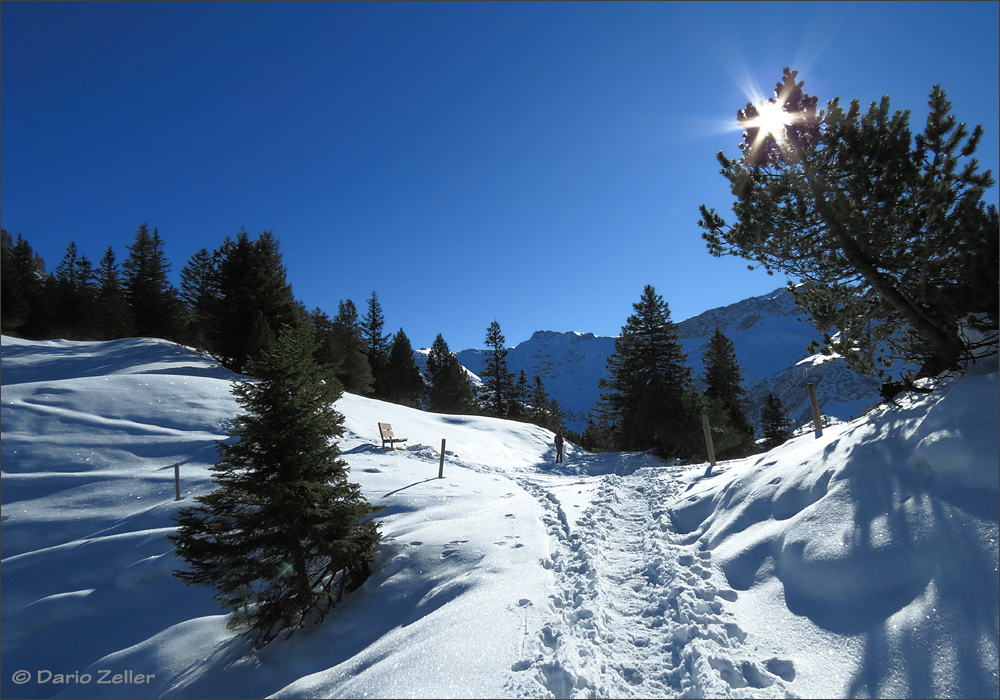 Wetterglück