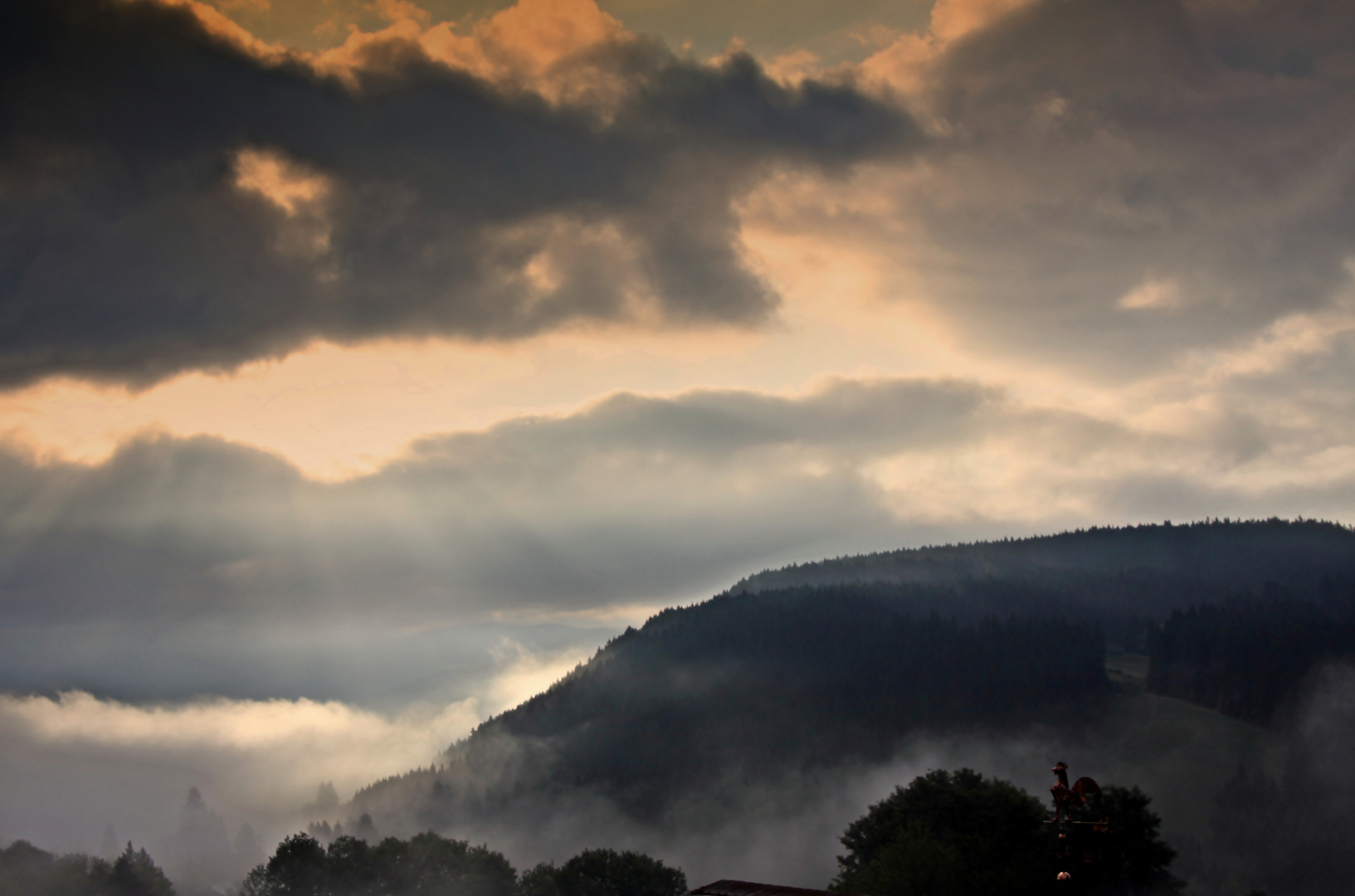 Wetterhahn