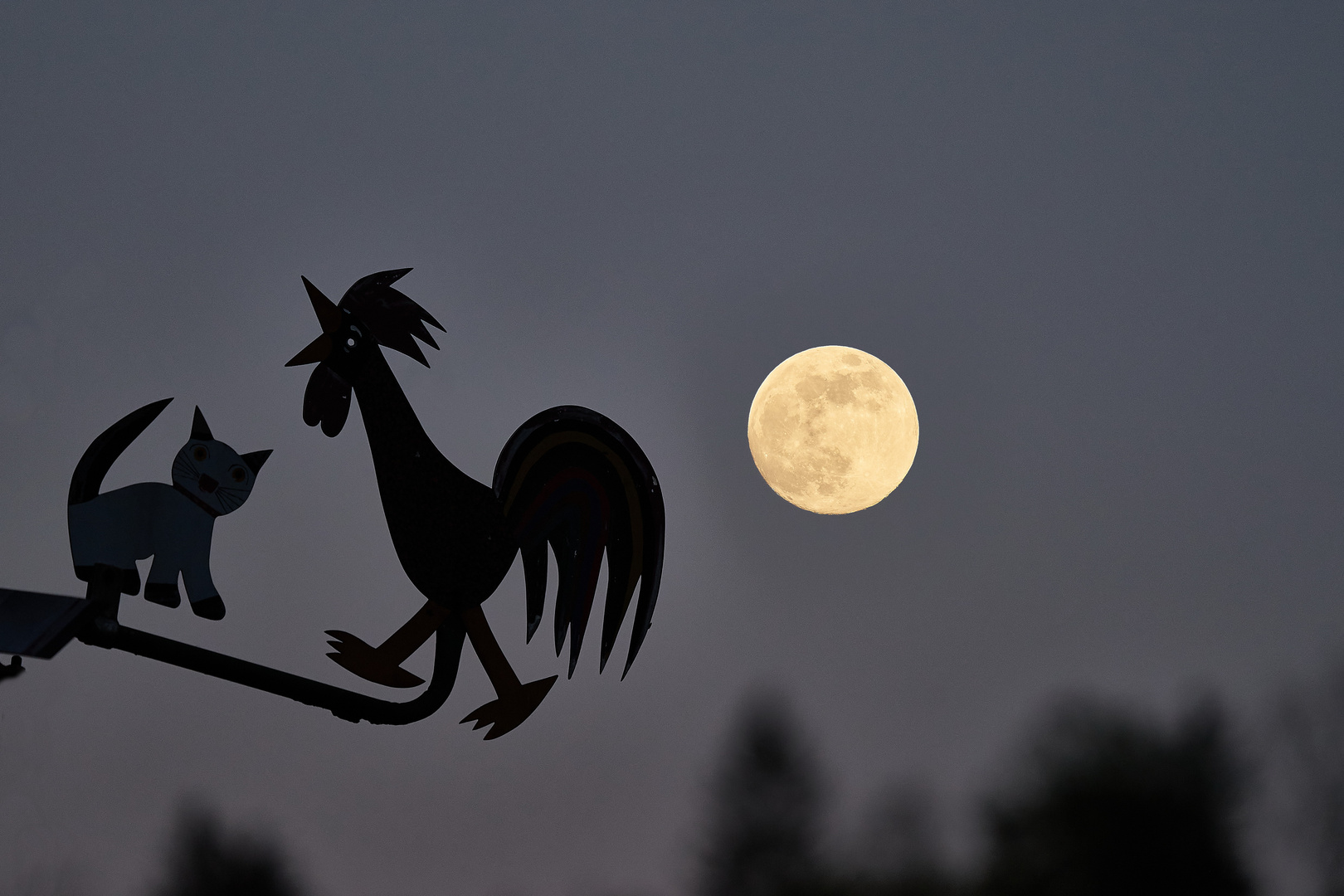 Wetterhahn, Katze und Mond