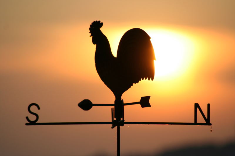 Wetterhahn vor Sonnenuntergang