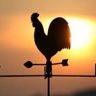 Wetterhahn vor Sonnenuntergang