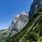 Wetterhorn (3692 m.ü.M.)