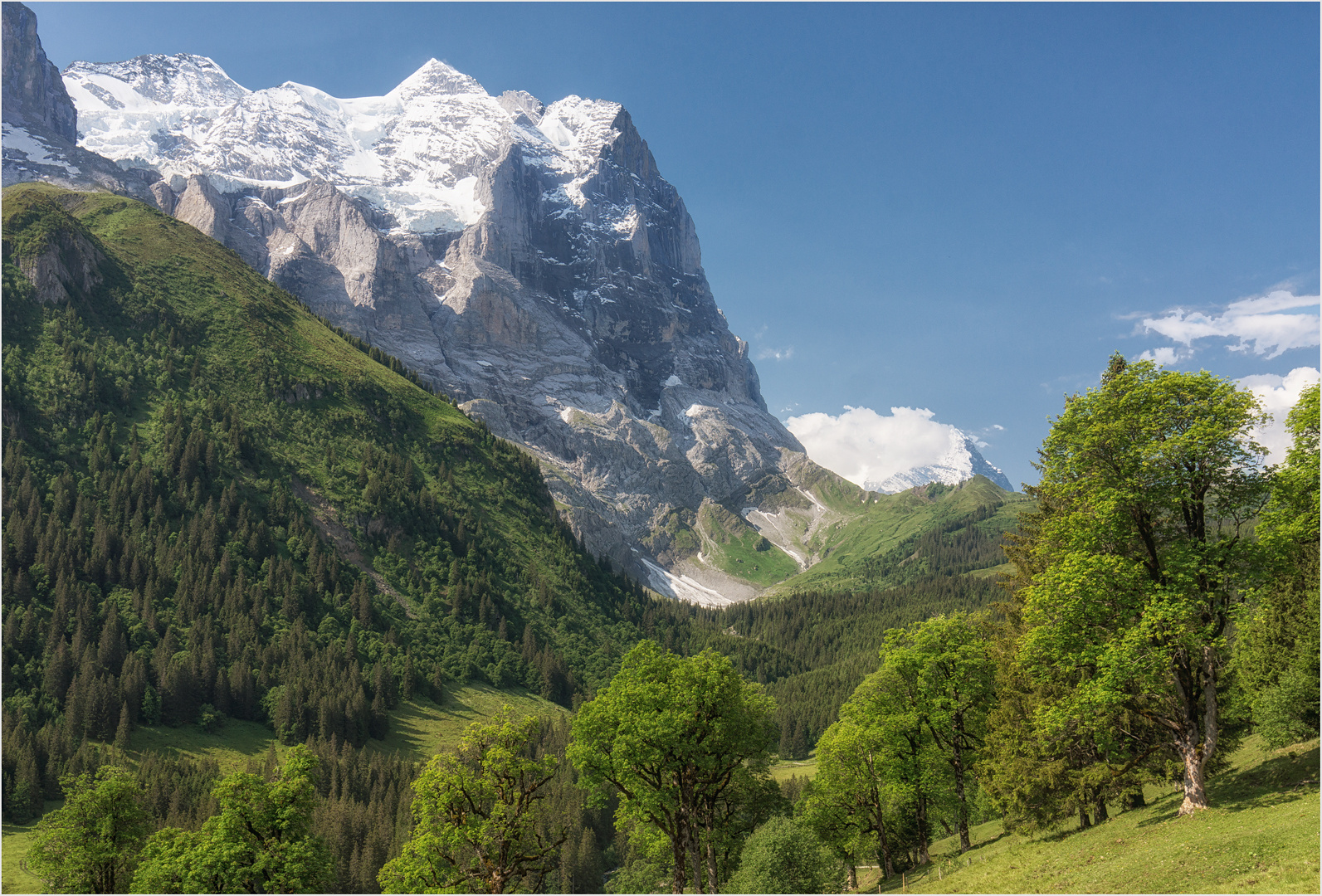 Wetterhorn