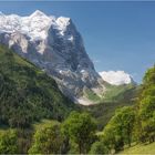 Wetterhorn