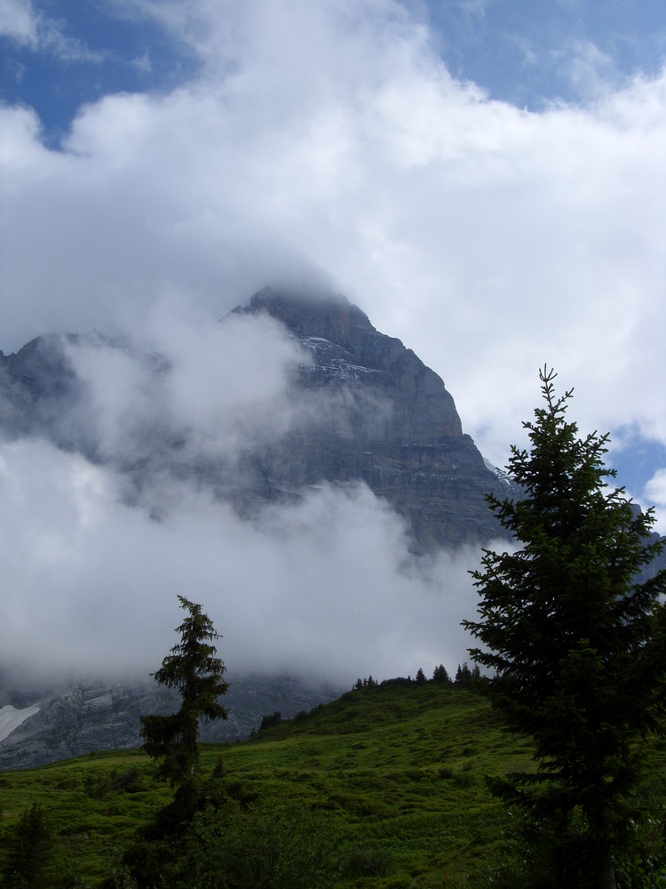 Wetterhorn