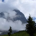 Wetterhorn