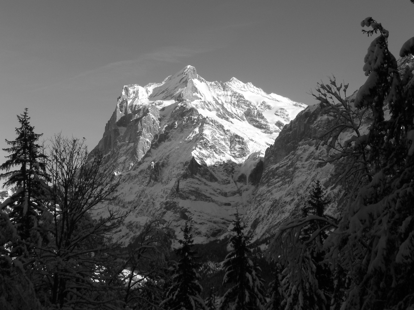 Wetterhorn