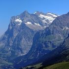 ...Wetterhorn...