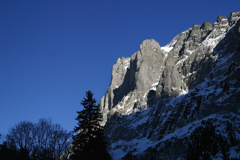 Wetterhorn