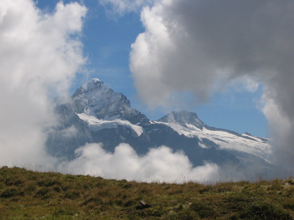 Wetterhorn