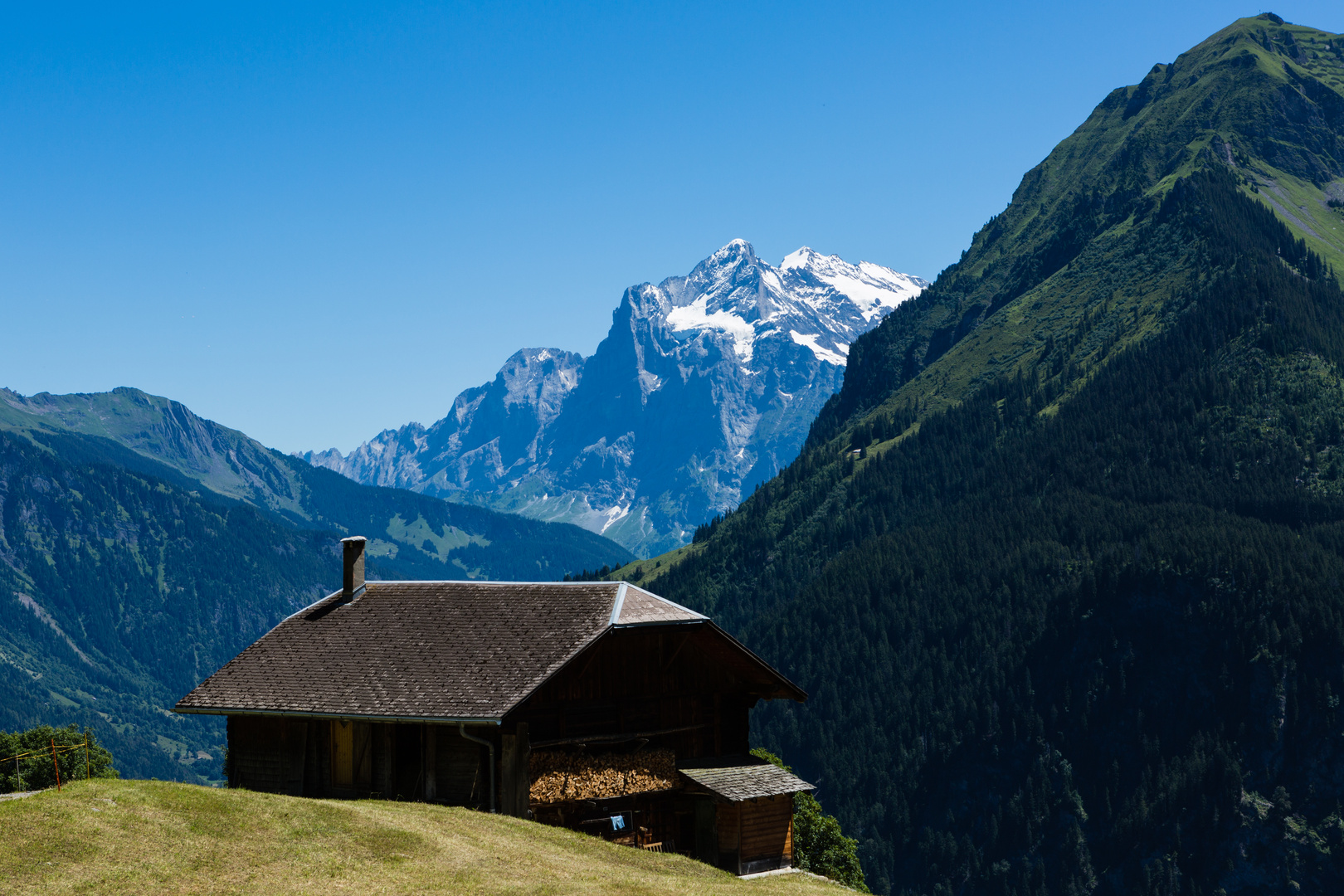 Wetterhorn